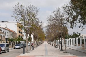 Alameda, huercal overa