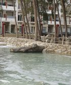 Parque entrada